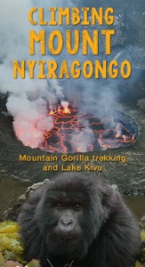 Gorilla Trekking Experience