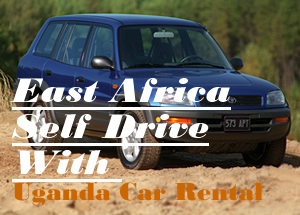 4x4 Self Drive Rav4 in East Africa