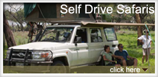 Self Drive Rwanda